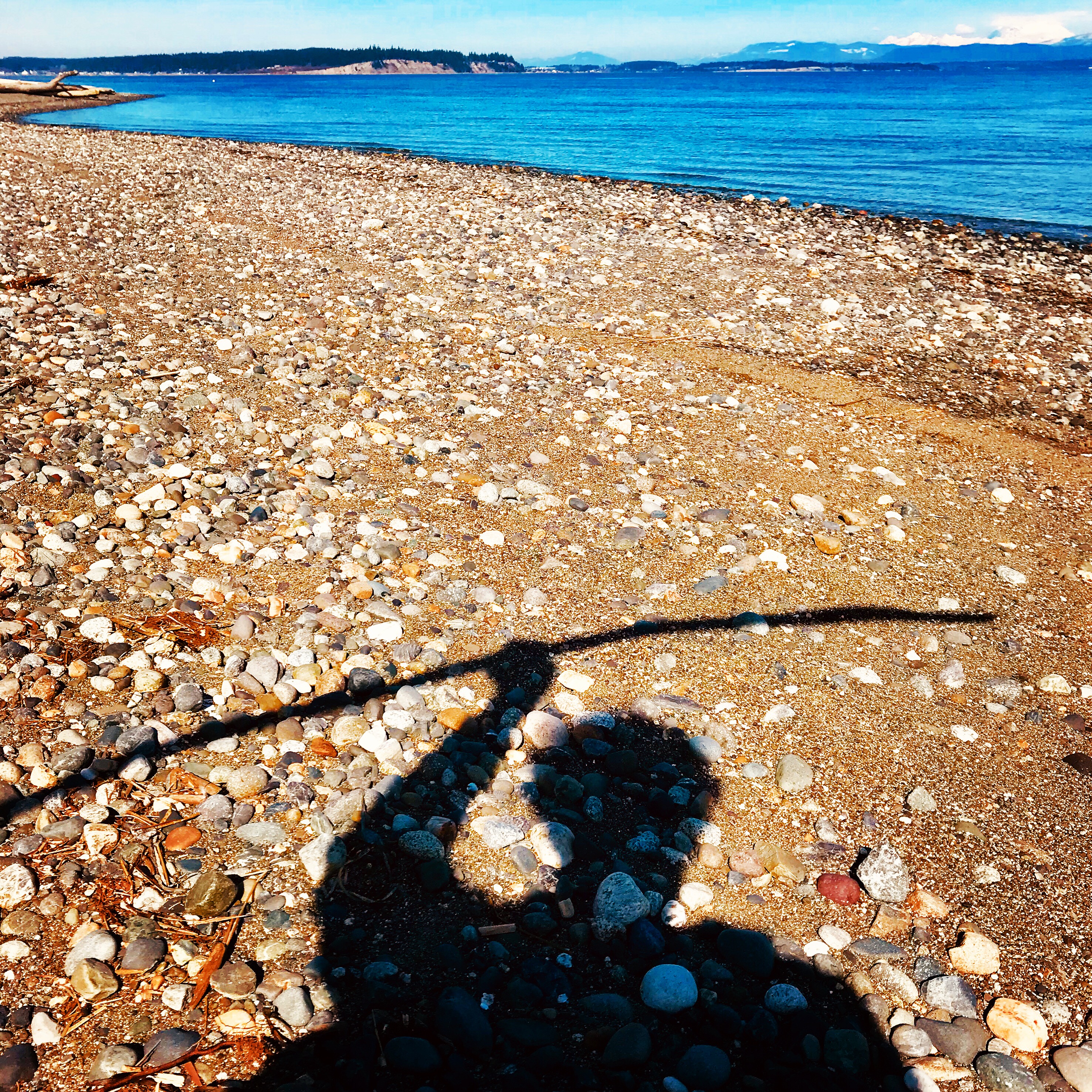 1290284C-A119-434E-A2D5-534CBCBE8092