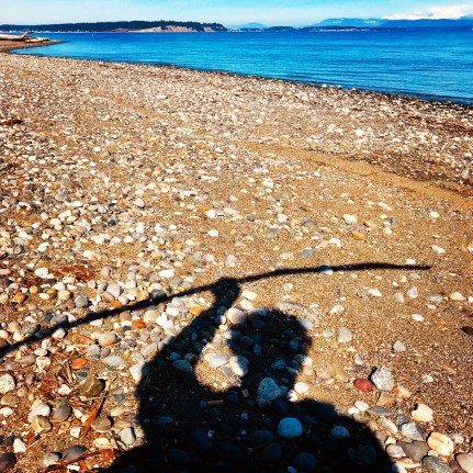 1290284C-A119-434E-A2D5-534CBCBE8092