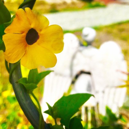 20941599-1D44-4367-BB11-CB0F36536098