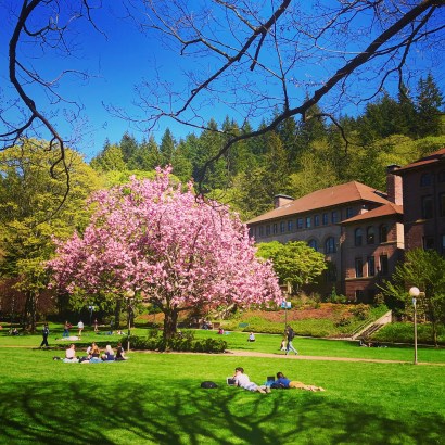 35491B75-0FD1-44B8-8CD1-BD74C52AC726