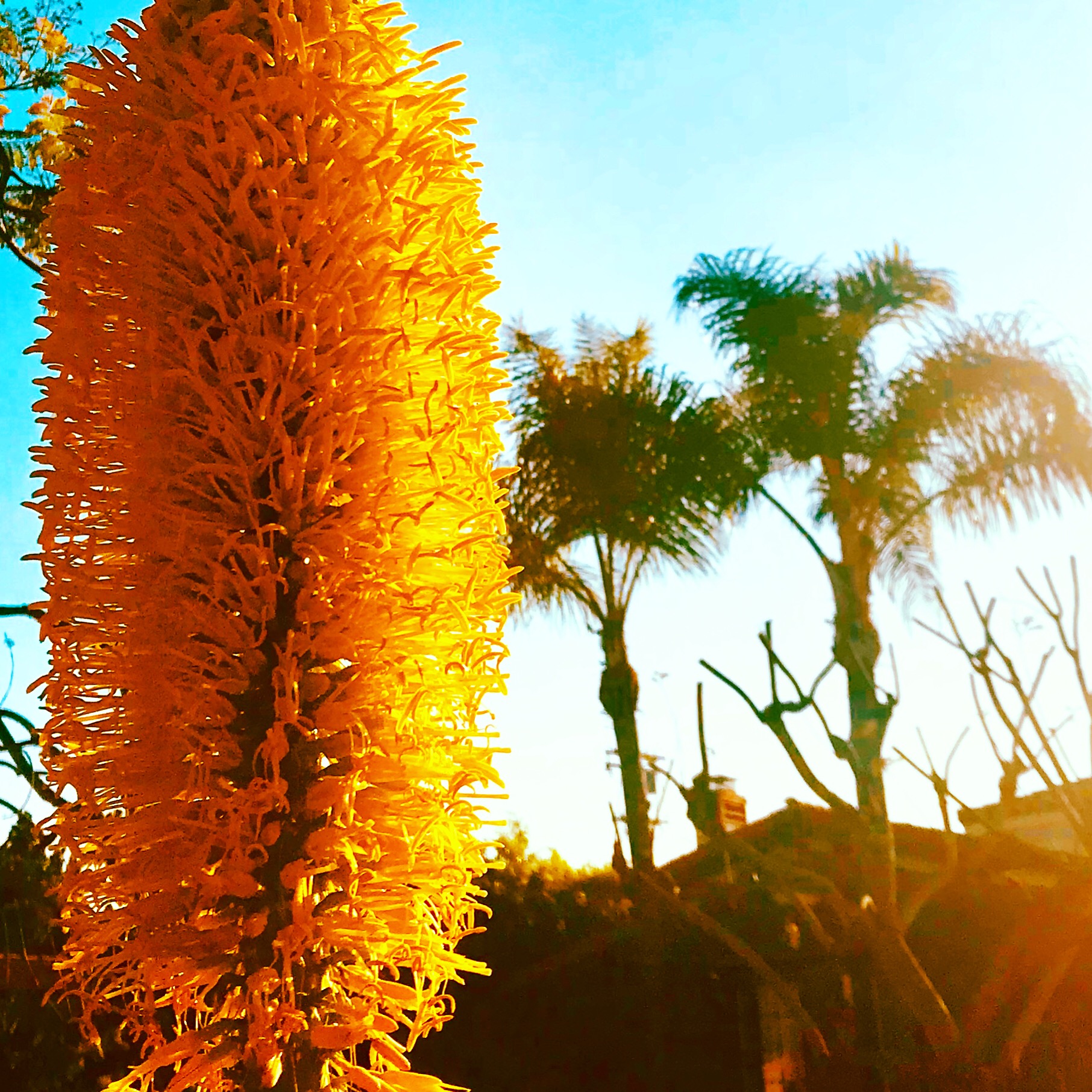 B87E7685-CAEB-43A1-9DD5-4350D37B8DE9