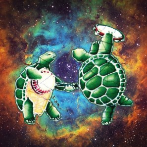 terrapins-space
