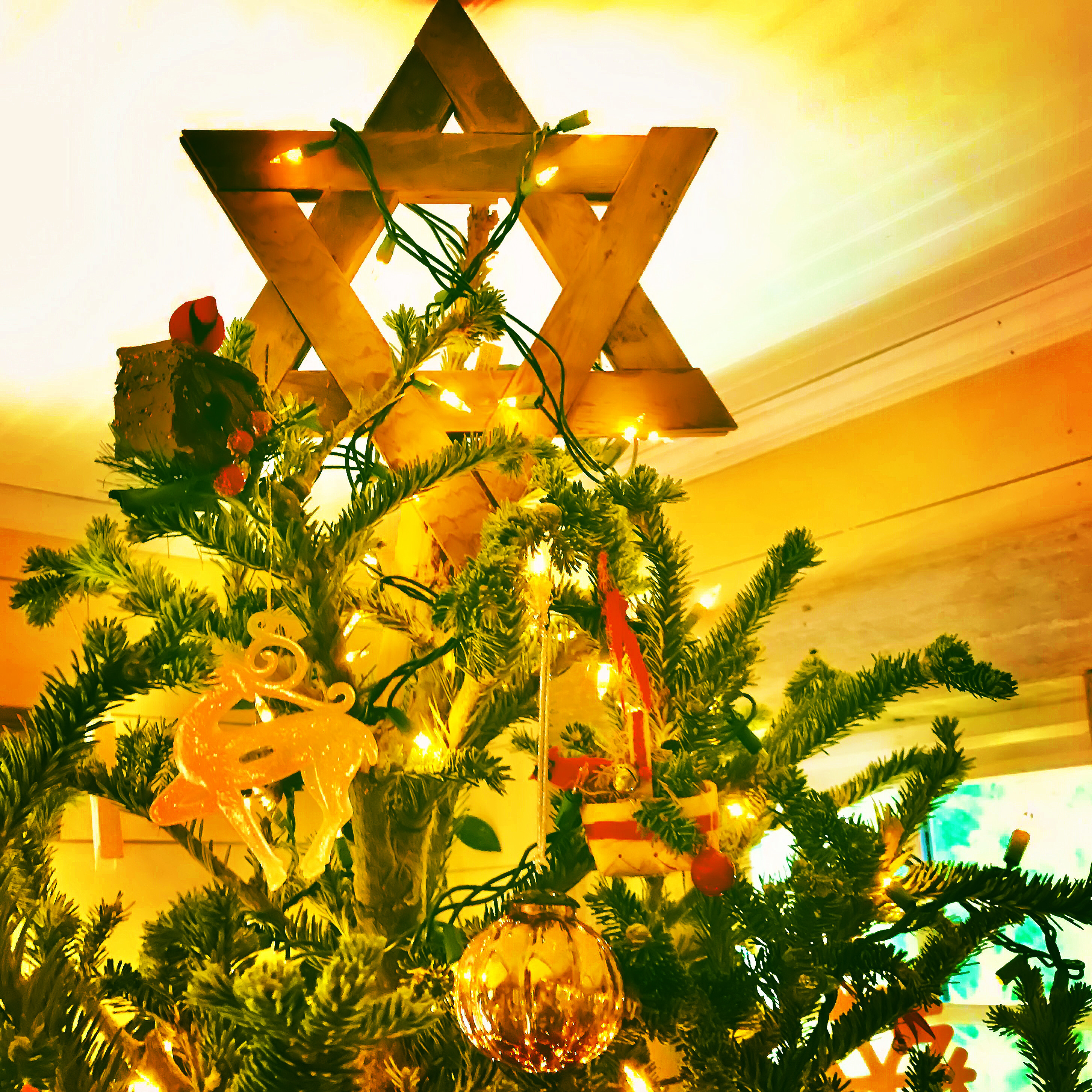 63F071B1-3D7C-47D4-8D52-40B4664B5E37